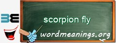 WordMeaning blackboard for scorpion fly